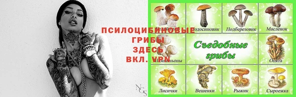 ешки Богородицк