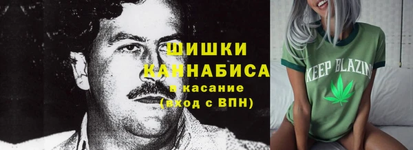 эйфоретик Бородино