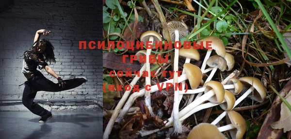 хмурый Богданович