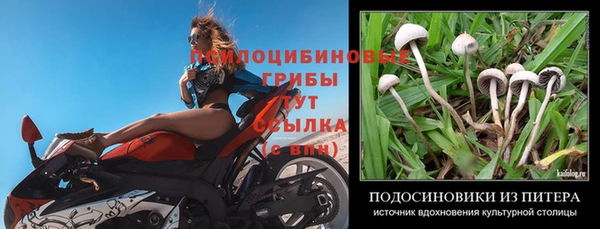 ешки Богородицк