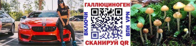 Купить  Салаир  Галлюциногенные грибы Magic Shrooms 